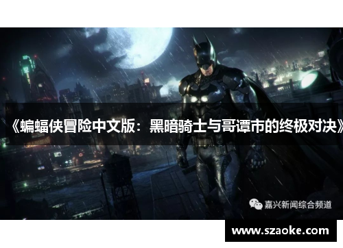 《蝙蝠侠冒险中文版：黑暗骑士与哥谭市的终极对决》